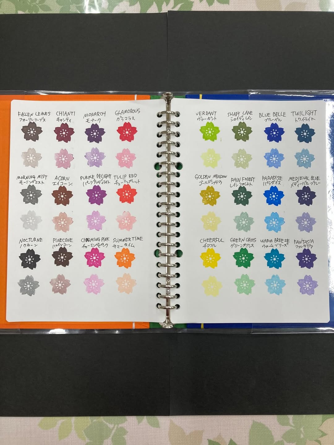 &copy; 2026 fucchi_sensei