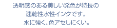 透明感のある美しい発色が特長の速乾性水性インクです。水に強く、色アセしにくい。