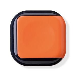 シュニック・ベベ