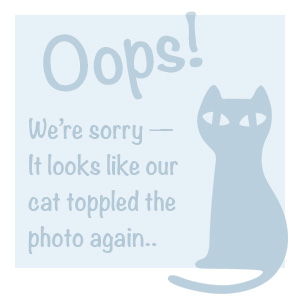 バーサクラフト S 38色 ディスプレイセット